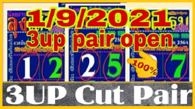 Thai Lottery cut pair vip 3up set making formula non miss total 01/09/2021