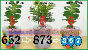 Thai Lottery Green Leaf 99.99% Final Non-Missed Totals 1.04.2023