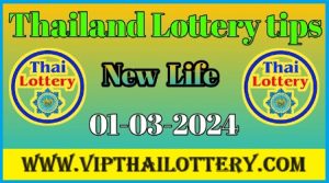 Thailand Lottery Gift 2 Set Total Down Jora Game 01/March/2567