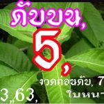 Thai Lottery Non Miss Cut Digit Formula 16-03-2020