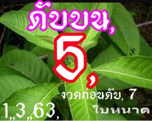 Thai Lottery Non Miss Cut Digit Formula 16-03-2020