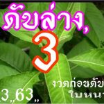 Thailand Lottery Final Tips For 16-03-2020