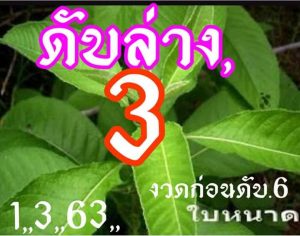 Thailand Lottery Final Tips For 16-03-2020