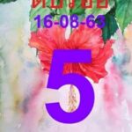 Thai Lottery Results 3up Single Pair new Tips 1-9-2020