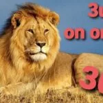 Thailand lottery 3up single set non miss guess paper 1-10-2020