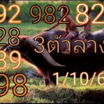 Thailand Lottery Tiger claw number, this draw 1/10/2020