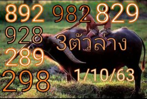 Thailand Lottery Tiger claw number, this draw 1/10/2020