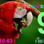 Envelope thai lottery 1st October 2020 Final tips