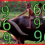 Thai Lottery for Phi Buffalo Kon Go this draw 30/12/63