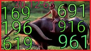 Thai Lottery for Phi Buffalo Kon Go this draw 30/12/63