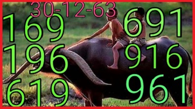 Thai Lottery for Phi Buffalo Kon Go this draw 30/12/63