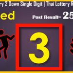 Thailand Lottery 2 Down Single Digit 16-12-2020