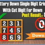 thai lottery down single cut digit grid paper 16 december 2020