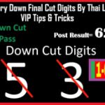 Thai Lottery Down Cut digits vip tricks 1-02-2021