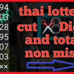 Thai lottery non miss cut digit and total 1.03.2021