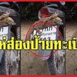 Thai Lotto Result for 1st May 2021 Bike Number Plate Hint