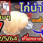 Thailand Lottery 3up Single Digit Winning Tips 01-12-2024