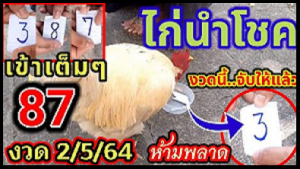 Thailand Lottery 3up Single Digit Winning Tips 01-12-2024