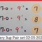 hai lottery 100% cut digit and only one pair game winning papers for 2.5.2021