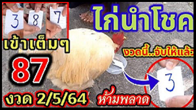 Thailand Lotto 3UP Single digit Winning Tips 2-5-2021