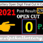 1-6-2021 Thai Lottery Open Digit Final Cut H Cut