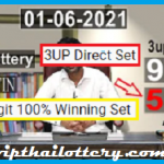 Lotto 3up down set 1-06-2564