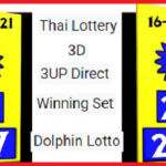 Thai Lottery 3D 16-05-2021 3UP Direct Winning Set Dolphin Lotto