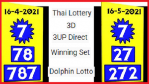 Thai Lottery 3D 16-05-2021 3UP Direct Winning Set Dolphin Lotto