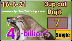 Thai lottery non miss cut digit total win game 16 June 2021 (winning papers)