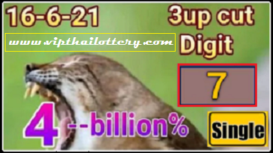 Thai lottery non miss cut digit total win game 16 June 2021 (winning papers)
