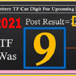 Thailand Lottery TF Cut Digit 1st August 2564 100% Cut digit Number