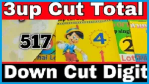 Thailand Lotto 3d down cut pair total game May 16, 2022