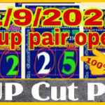 Thai Lottery cut pair vip 3up set making formula non miss total 01/09/2021