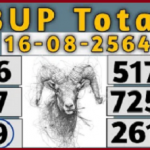 Thai lottery 3up Total Number 16-08-2021 Direct pass sure win