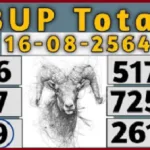 Thai lottery 3up Total Number 16-08-2021 Direct pass sure win