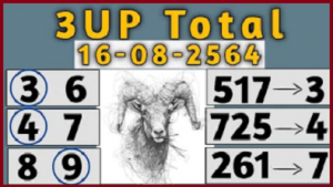 Thai lottery 3up Total Number 16-08-2021 Direct pass sure win