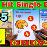 Thai Lotto Rita Tips Hit Single Digit Open 01/10/2564 Don't Miss