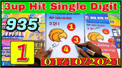 Thai Lotto Rita Tips Hit Single Digit Open 01/10/2564 Don't Miss