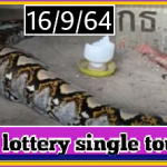 Thai lottery touch sure single win 16-09-21 Don't Miss Hot Cut Digit