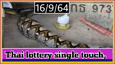 Thai lottery touch sure single win 16-09-21 Don't Miss Hot Cut Digit