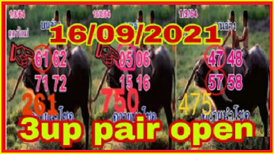 Thailand Lottery Formula 3up Pair Open Single Digit 16/9/2021