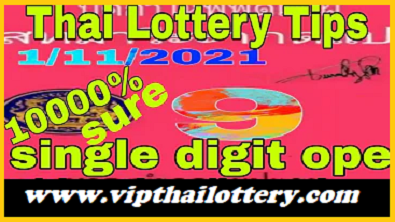 Thai Lottery Results Tips hit total open single digit