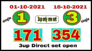 Thai lotto king 2D down winning set Pair Trick