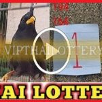 Thailand Lottery GTL Routine Formula Final Akra 16/10/2564