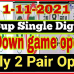 Thailand Lottery Special Tips Single Digit Down Game 1st November 2021