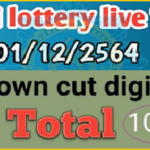 Thai Lottery Live Tips Down Cut Digit Total Touch 1st December 2564