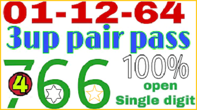 Thailand Lottery 3up Pair Pass Open Single Digit 01-12-2021