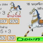 VIP THAI Lottery tips Down set hit total 100% non miss 16th November 2021