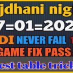 Rajdhani night open to close panel fix 17/01/2022 single vip game