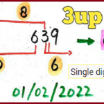 Thailand Lottery tips Single digit 100% Sure Hand-Made 1st February 2022